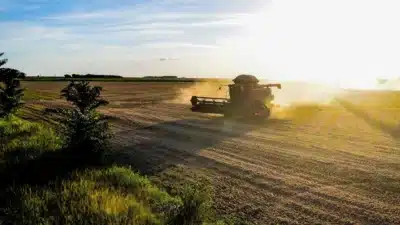 Baldan Projeta Crescimento de 12&percnt; em 2026 com Investimentos Estratégicos e Novas Expansões!