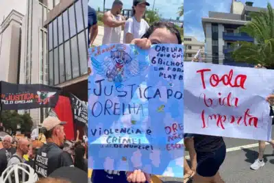 Brasil em choque: Manifestações em massa exigem justiça pela morte de Orelha!