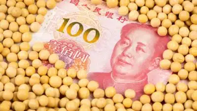 China quebra promessa Trump e busca alternativas na soja americana!