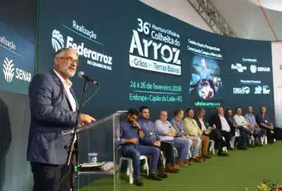 Rio Grande do Sul em Alerta: Produtores Exigem Medidas Urgentes para o Arroz em 2025/26