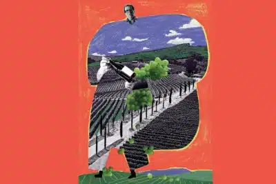 Davo: Da Areia ao Vinho Nobre – A Incrível História do Empreendedor Brasileiro