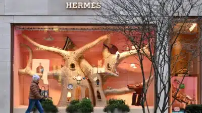 Hermès Surpreende Mercado com Crescimento Exponencial em 2026!
