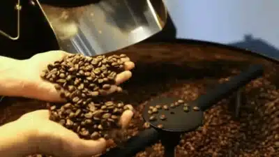 Café vs. Ressaca: Alívio ou Perigo para Corações Sensíveis em 2026?