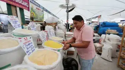 Brasil surpreende com crescimento econômico de 2,5&percnt; em 2025 – Veja os detalhes!