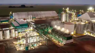 CerradinhoBio Fatia Lucro Expressivo na Safra 2025/26 – Crescimento Surpreende!