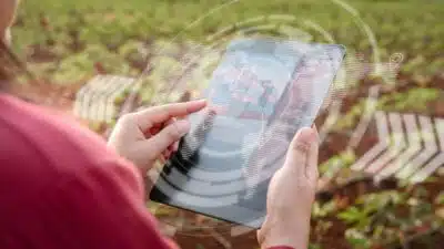 CEO Survey Revela: Inteligência Artificial Impulsiona Resultados no Agronegócio Brasileiro!