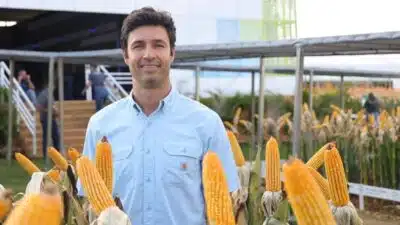 Produtores do Paraná Aumentam Produtividade em Meio à Crise de Preços