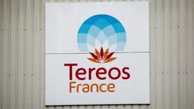Tereos Registra Prejuízo Recorde de 598 Milhões e Desafia Indústria Global