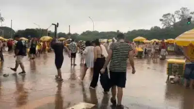 Ibirapuera Alaga Após Chuvas; Megabloco de Mariana Aydar é Impactado em SP