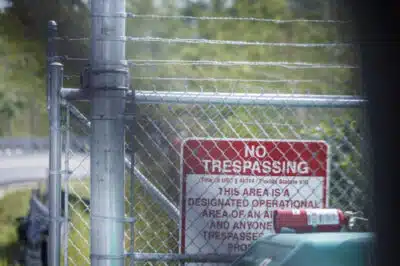 FDEM sob pressão: Vazamento de dados do Alligator Alcatraz expõe luta pela transparência!