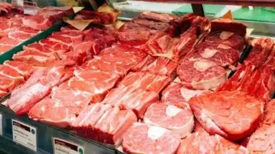 Brasil e Coreia do Sul Fecham Acordo Histórico para Exportação de Carne!