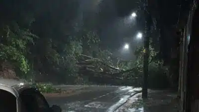 Juiz de Fora e São Paulo em Estado de Calamidade: Vítimas Fatídicas e Desabrigados!