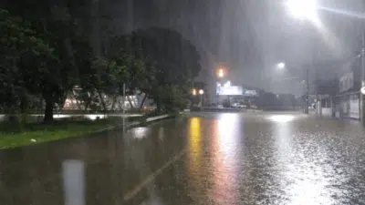 Desastre em Minas: Tempestades Devastam Zona da Mata e 23 Mortos – Urgente!