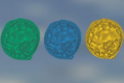 IA Brasileira Revoluciona Reprodução Assistida: MAIA Aumenta Chances de Gravidez!