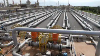 Cerbras Faz História: Contrata Gás Natural Direto da Petrobras em Acordo Estratégico!