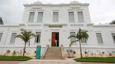 Instituto Butantan comemora 125 anos com novo logotipo e símbolos icônicos!