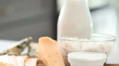 China retribui tarifas à UE sobre laticínios com medidas de defesa!