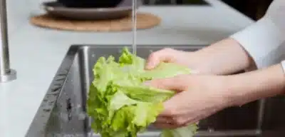 Brasil em Alerta: Lacunas Alarmantes na Segurança Alimentar em Casa!