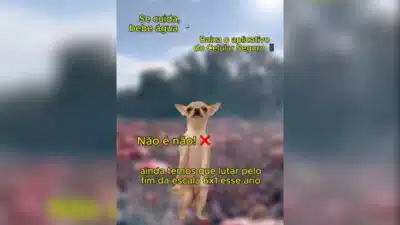 Governo lança meme viral em defesa do fim da jornada 6×1! 🚀