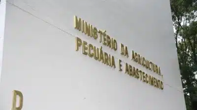 Senado Aprovam Urgente MP com R$83,5 Milhões Contra Gripe Aviária e Pragas!