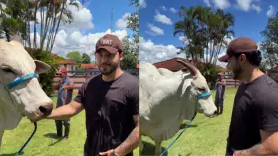 Murilo Huff Gastou US$ 54 Milhões em Vaca Única! Detalhes Polêmicos Revelados