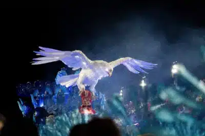 Portela em Transformação: Saídas e Reformulação Após o Carnaval de 2026!