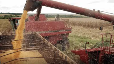 Soja Paranaense: Inoculação Biológica Impulsiona Recorde de Produtividade em 2024/2025!