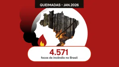 Incêndios Alarmantes no Brasil: Focos Aumentam 45,7&percnt; em Janeiro de 2026!