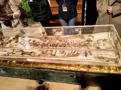 Restos de São Francisco de Assis Expostos: Fé e História em Assis!