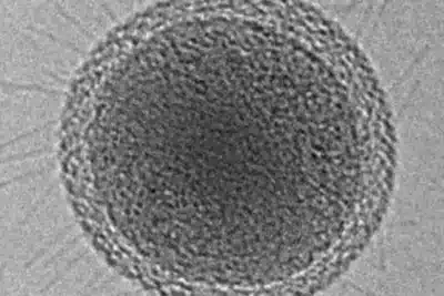 Bactérias Milenais Revelam Segredos de Resistência a Antibióticos em Descoberta Romena