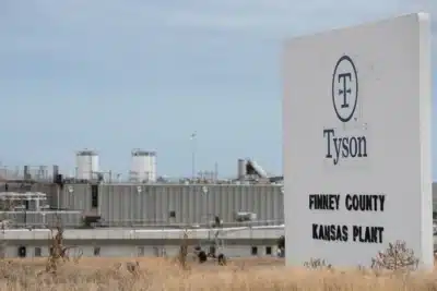 Tyson Foods: Prejuízo de US$ 500 Milhões e Desafios no Mercado Bovina!