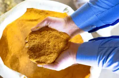 Brasil e China selam acordo histórico: Brasil envia primeira carga de grãos secos para a China!