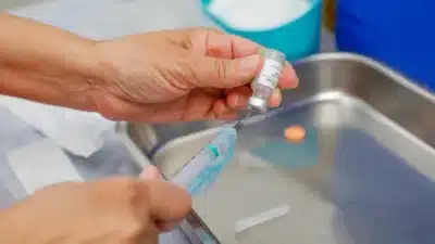 Ministério lança projeto-piloto inovador contra chikungunya em Mirassol!