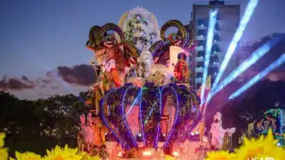 Vai-Vai e Mocidade Alegre em Luta Decisiva pelo Troféu de 2026 no Carnaval de SP!
