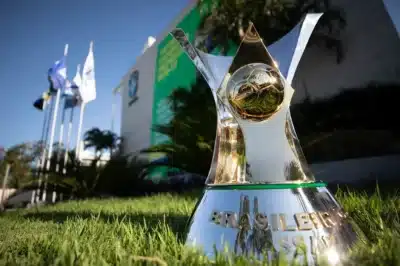 Palmeiras e Botafogo Surpreendem! Veja os Altos e Baixos do Brasileirão 2026!