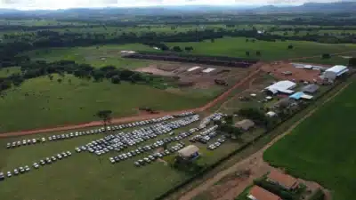 Nutripura Revoluciona Produtividade com 175&percnt; de Aumento em Pedra Petra!