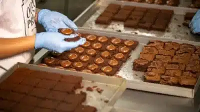 Indústria de Alimentos Brilhante em 2025: Crescimento, Empregos e Renda Recorde!