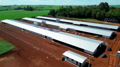 MBRF Navega em Meio ao Conflito e Mantém Exportações no Oriente Médio!