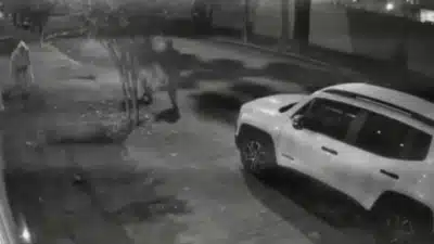 Capivara Brutalmente Ataque na Ilha do Governador: Suspeitos Detidos em Crime Chocante