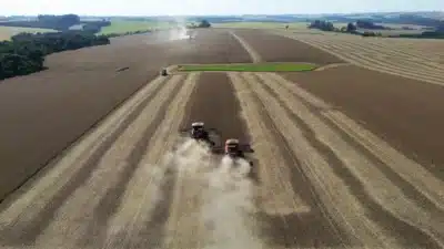 Caramuru Dispara: Lucro de R$571 Milhões e Crescimento Surpreendente em 2025!