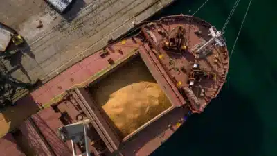 Brasil e China buscam novo acordo para inspeção da soja após atrito!