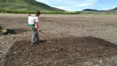 Inteligência Artificial Revela Deserto no Cerrado: Mais de 13 Mil Hectares Abandonados!