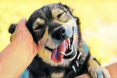 IA Desvenda Segredos da Natureza: A Linguagem Animal Revelada!