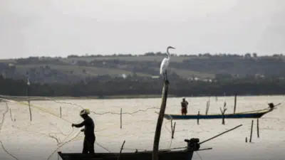 Segurança e Sanções: Novo Seguro Defeso Impacta Pescadores Artesanais!