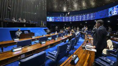 Senado Unânime Aprovado Projeto Polêmico de Desmembramento Territorial!