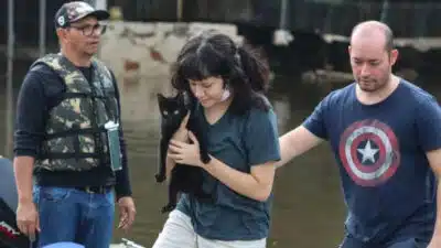 Senado Aprovado Lei Histórica: Proteção Animal em Emergências em 2026!