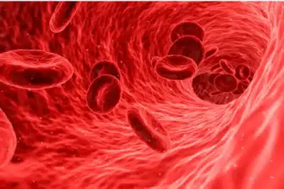 Exames de Sangue Revelam: Novo Teste Previne Alzheimer Anos Antes dos Sintomas!