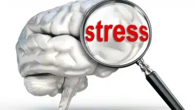 Cérebro Sob Pressão: Proteja Seu “Copiloto” do Trabalho e Evite Danos Neurológicos!