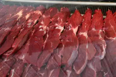 Tecnologia Brasileira Revoluciona Avaliação da Carne Bovina: Inovação Surpreende Mercado!