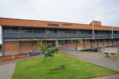 Unesp revoluciona ensino: Novo curso em Língua e Cultura Chinesas surge!